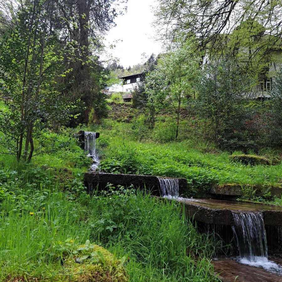 Apartmán Wohn-Eitel Sonnenblick Bad Wildbad Exteriér fotografie