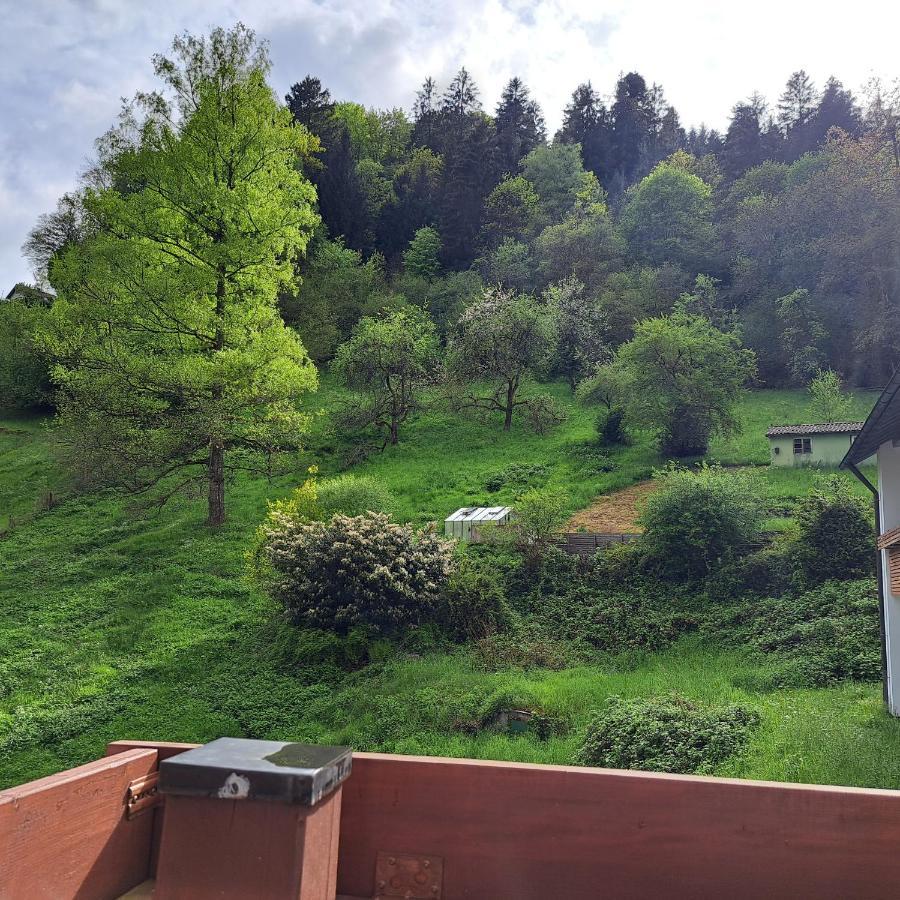 Apartmán Wohn-Eitel Sonnenblick Bad Wildbad Exteriér fotografie